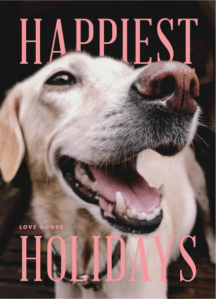Pet Holiday Cards